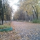 Аллея